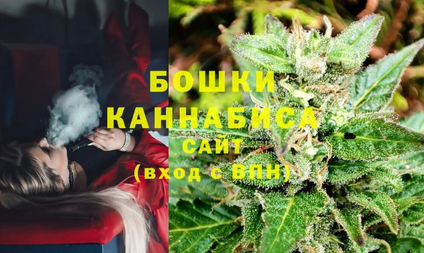 стафф Богородск