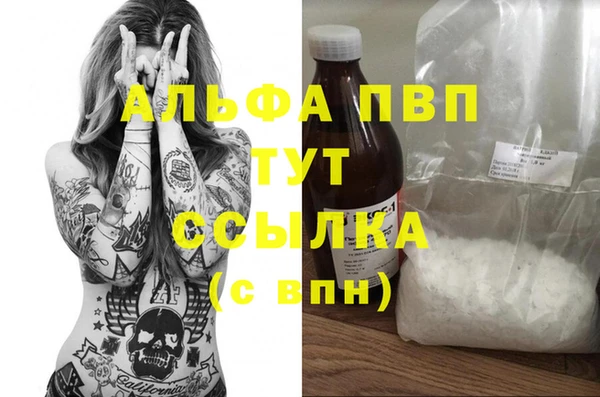 прущие крисы Белокуриха