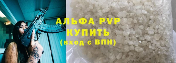 молекула духа Осташков